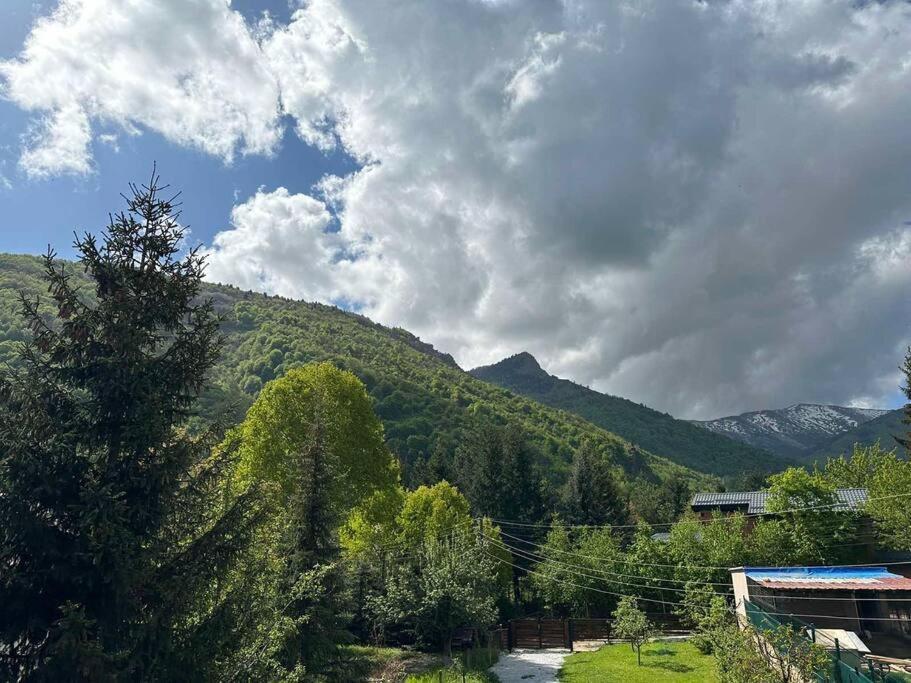 Cosy Mountain Villa In Nizepole Bitola Luaran gambar